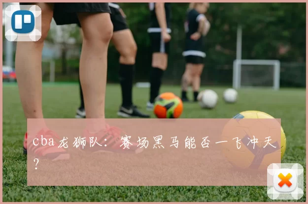 cba龙狮队：赛场黑马能否一飞冲天？