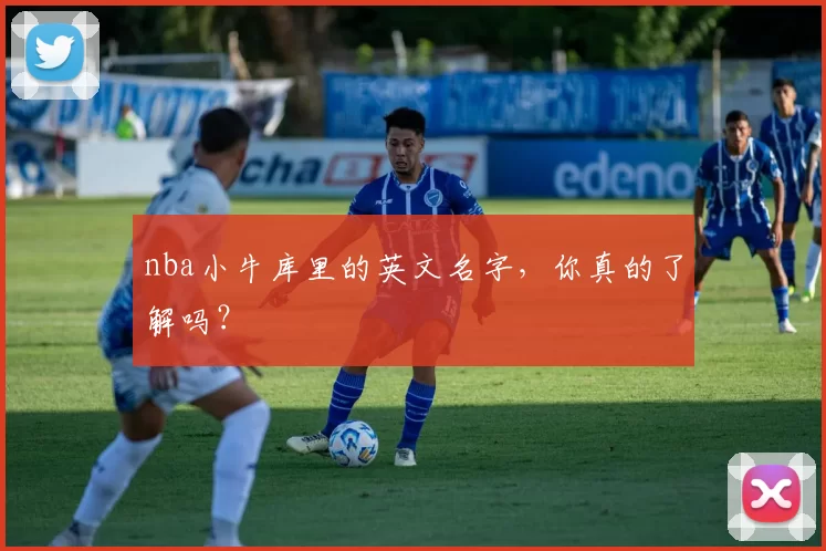 nba小牛库里的英文名字，你真的了解吗？