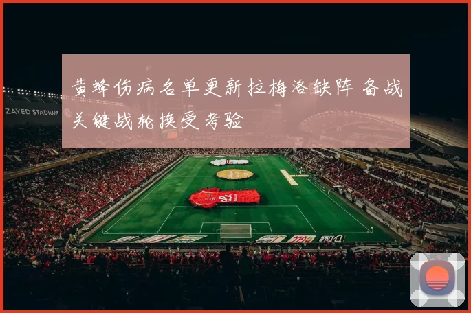 黄蜂伤病名单更新拉梅洛缺阵 备战关键战轮换受考验