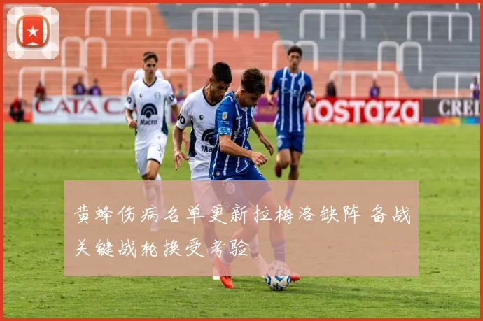 黄蜂伤病名单更新拉梅洛缺阵 备战关键战轮换受考验