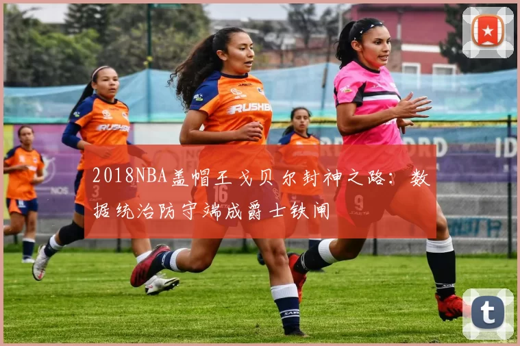 2018NBA盖帽王戈贝尔封神之路：数据统治防守端成爵士铁闸