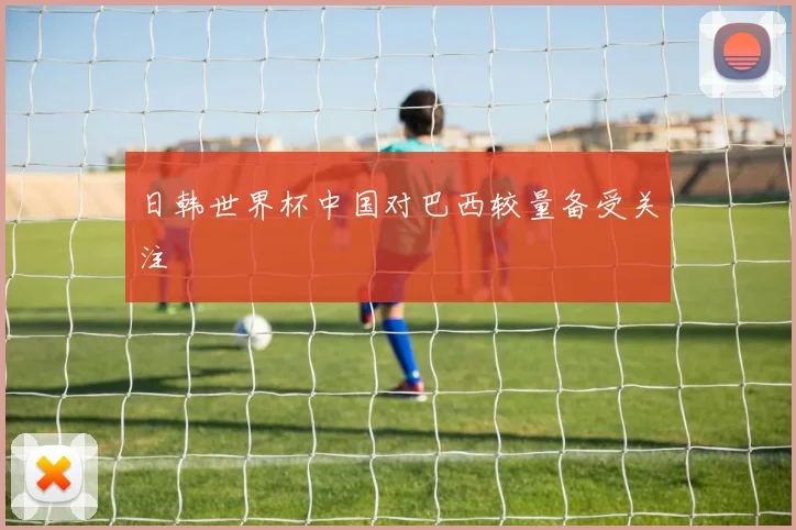 日韩世界杯中国对巴西较量备受关注