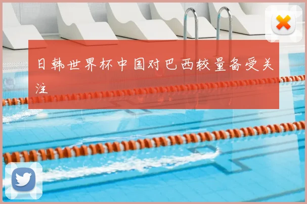 日韩世界杯中国对巴西较量备受关注