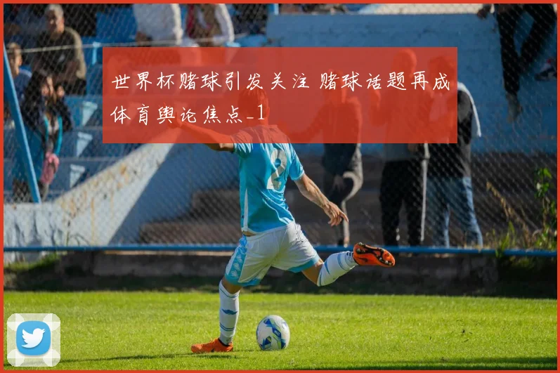 世界杯赌球引发关注 赌球话题再成体育舆论焦点_1