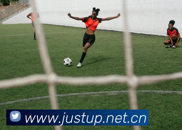 九游体育app官网入口网页平台生态图