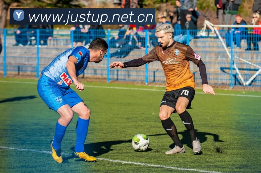 九游体育app官网入口网页全站App 九游体育app官网入口网页全站App